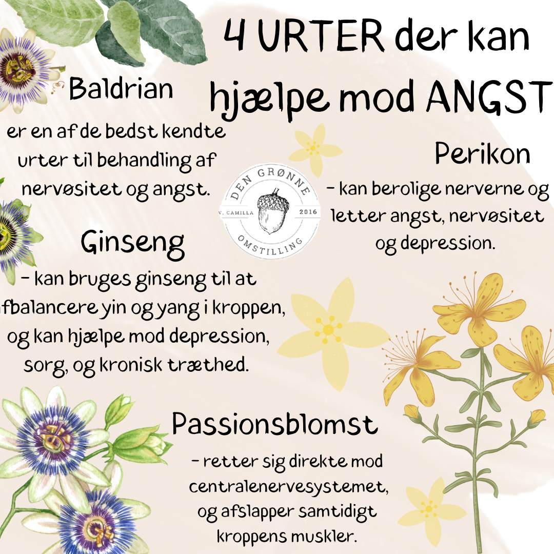 4 URTER der kan hjælpe mod angst