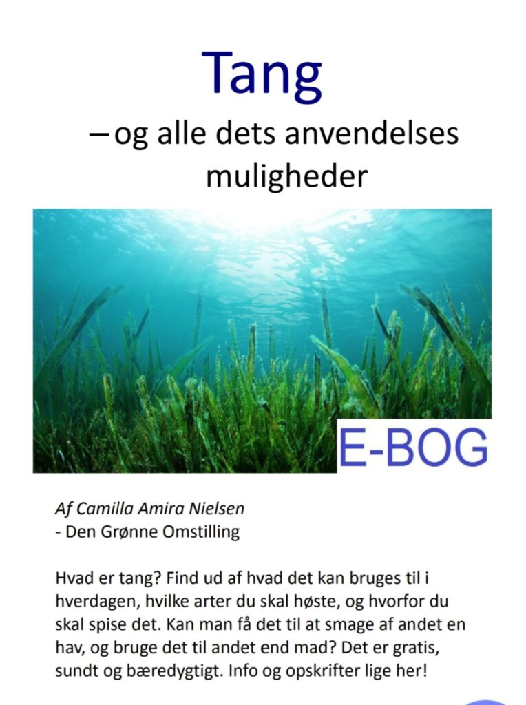 Gratis e-bog om tang