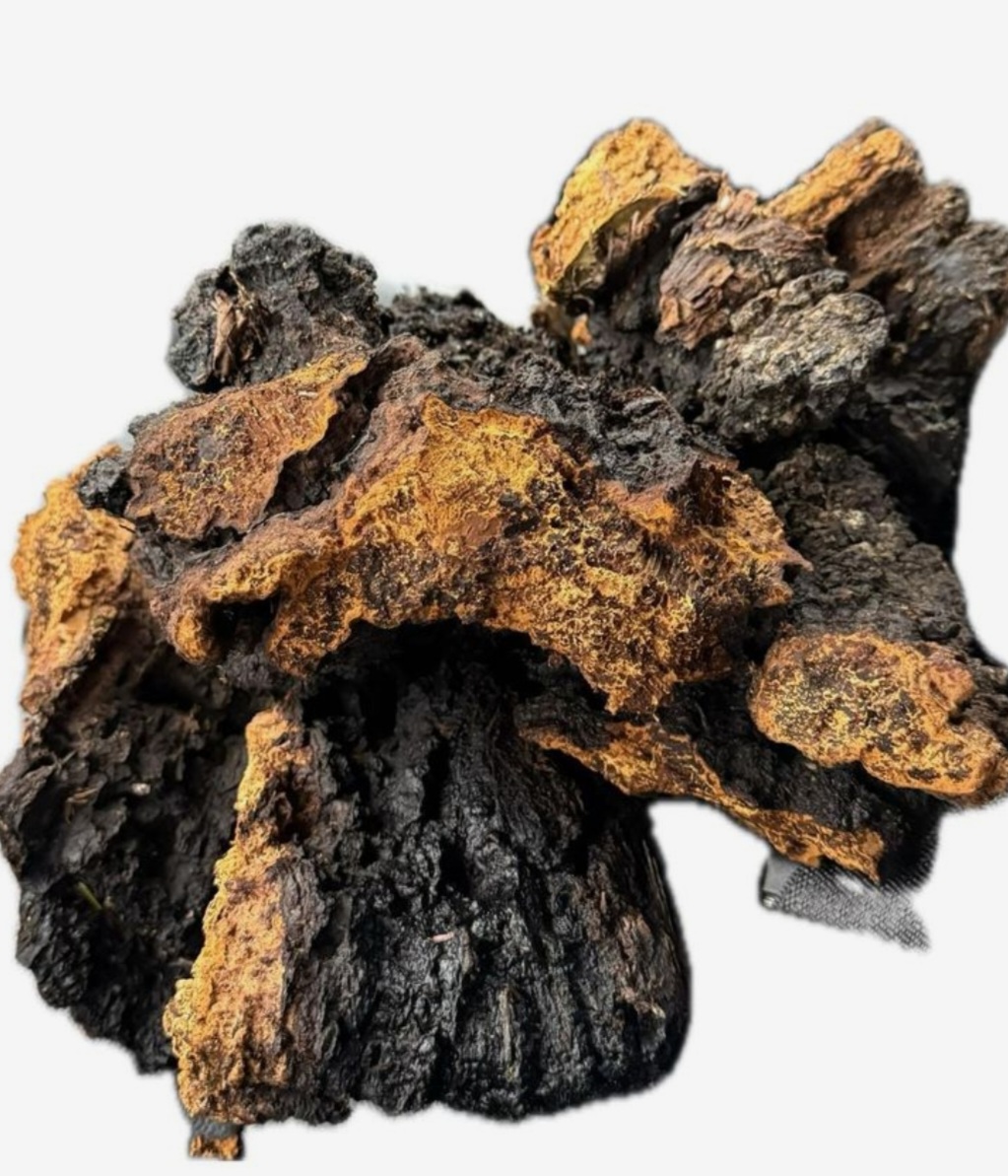 Chaga 100g