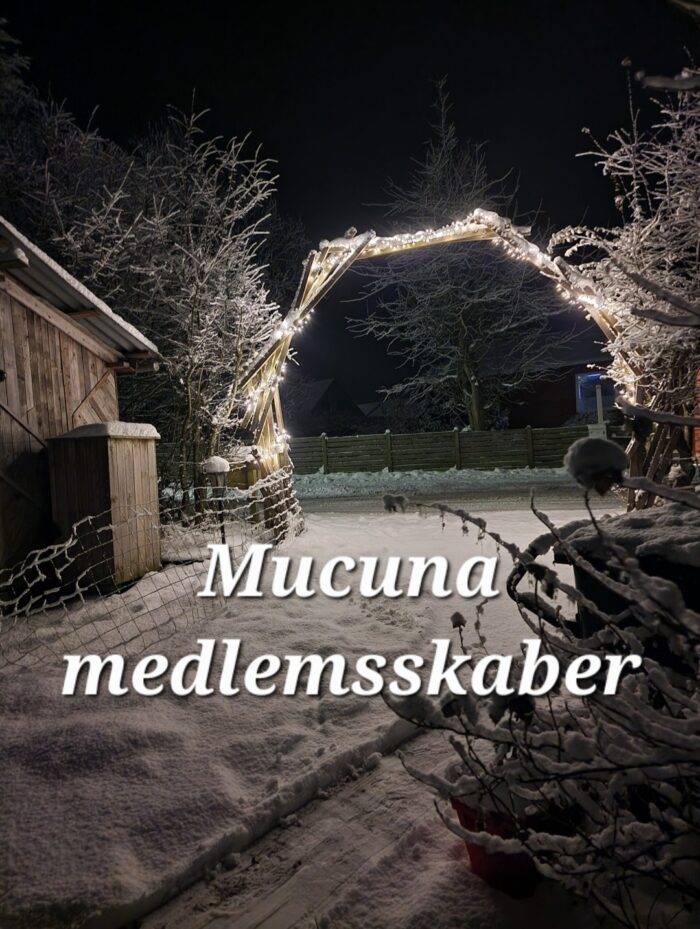 Mucuna medlemsskaber